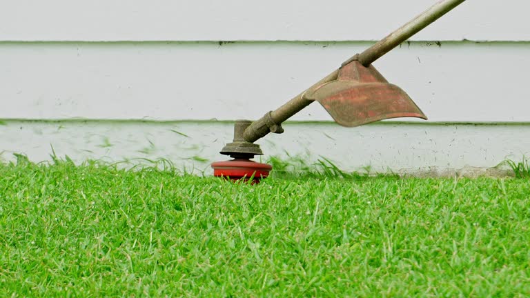 Best Lawn Grading and Leveling  in Wurtland, KY
